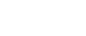 Elephant Kids